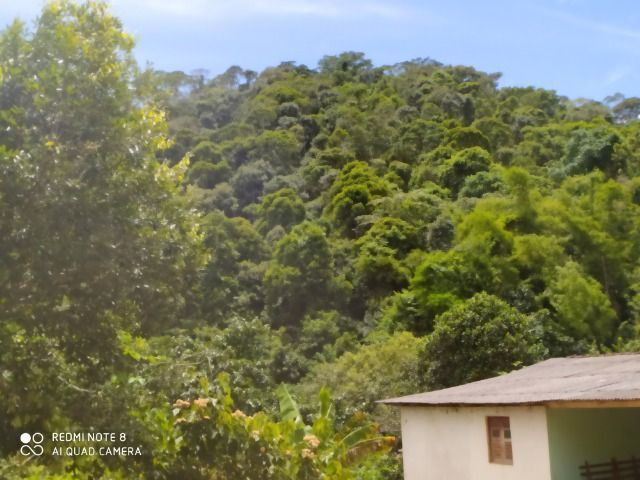Vendo Fazenda em Rio da Prata - Distrito de Guarapari - Foto 8