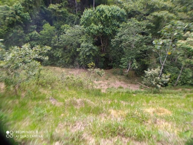Vendo Fazenda em Rio da Prata - Distrito de Guarapari - Foto 13