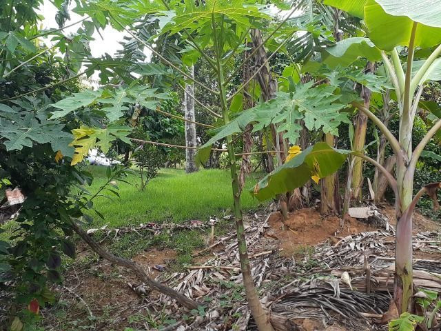 Sitio a venda em Andana-Guarapari ES com 2 - Foto 14