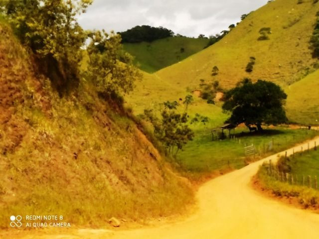 Vendo Fazenda com 27,5 Hectares em Rio Calçado - Guarapari - Foto 16