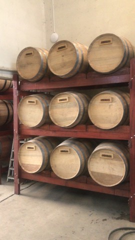 Barril de Amburana - Foto 4