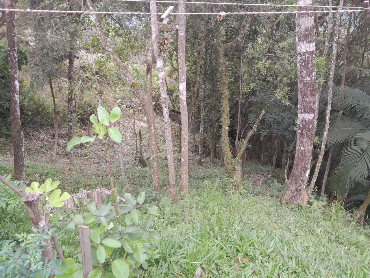 Chácara em Amaro, Varginha  - Foto 5