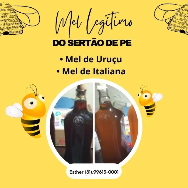 MEL de abelha venda/revenda - Foto 3
