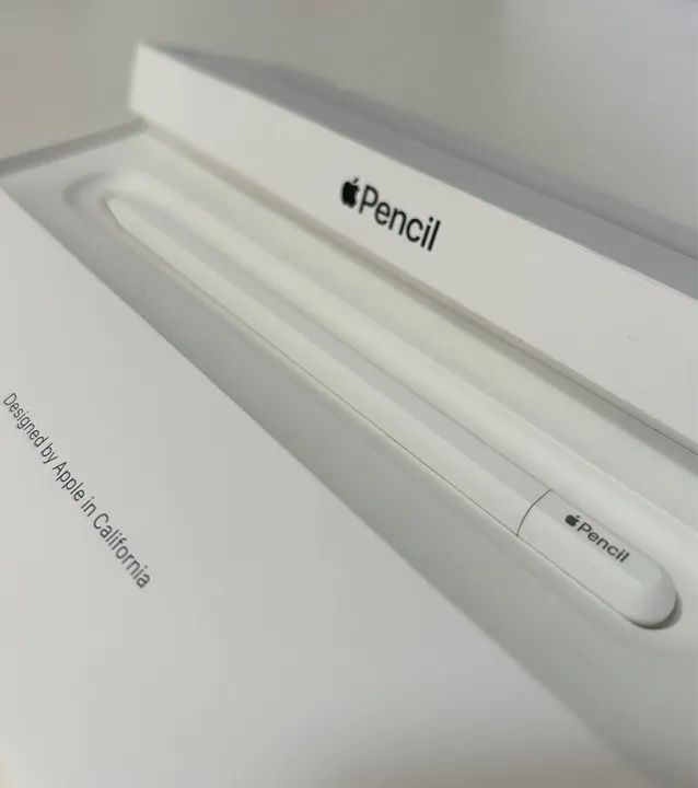 Apple Pencil Usb-c Original Caneta para IPad - Foto 4