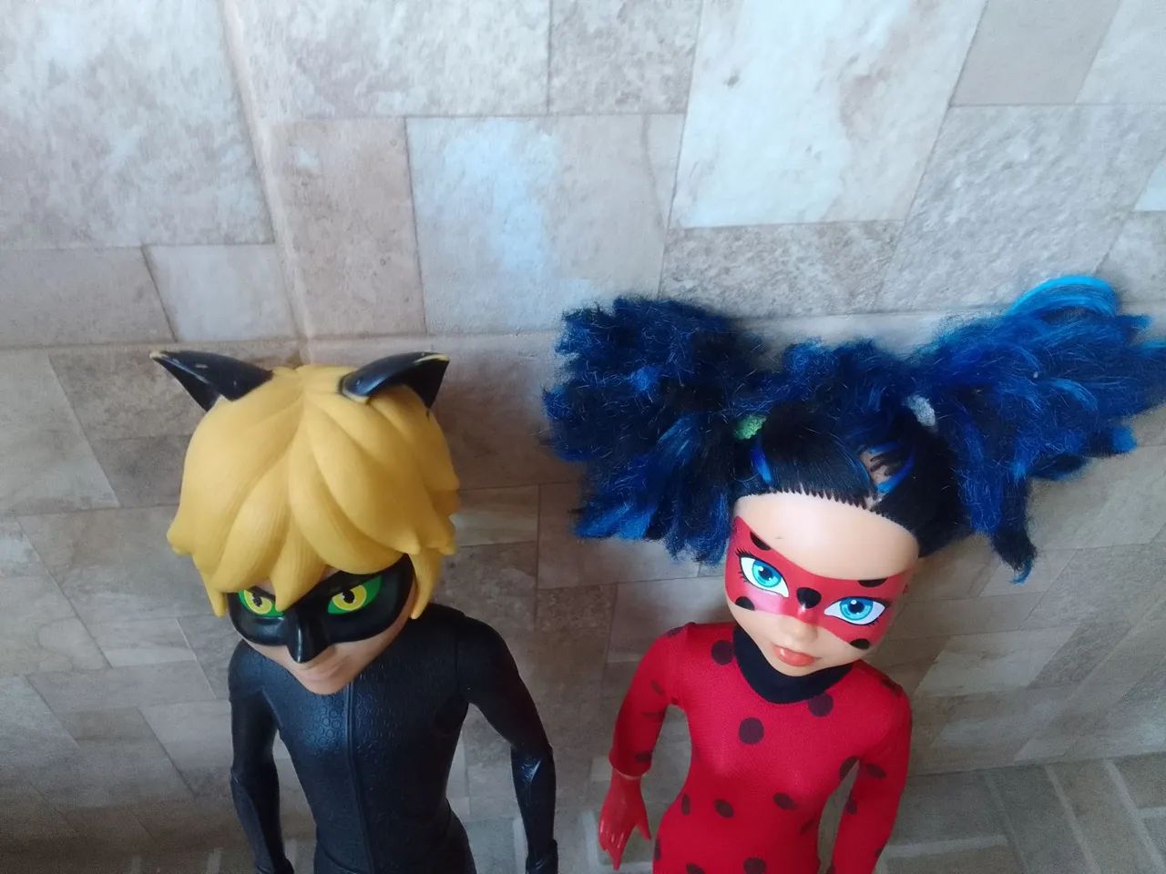 Ladybug e Cat Noir. - Foto 4