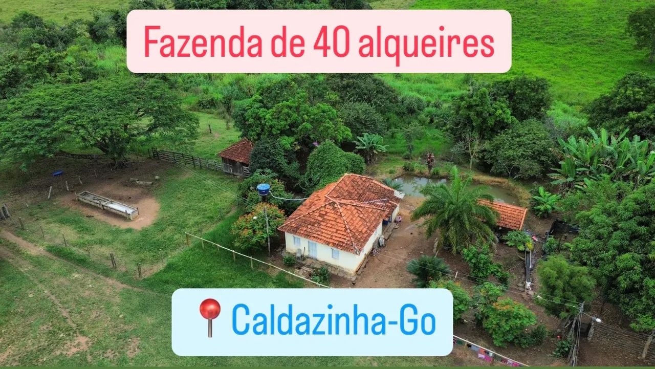 Fazenda em caldazinha 