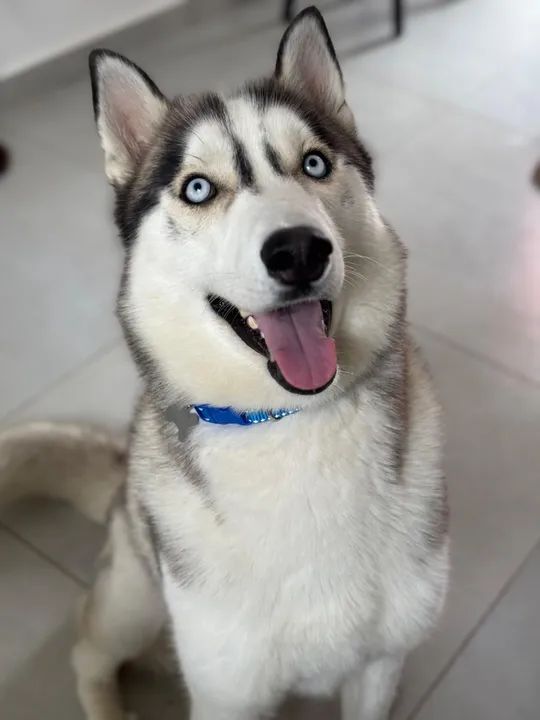 PROCURO UMA NAMORADA 