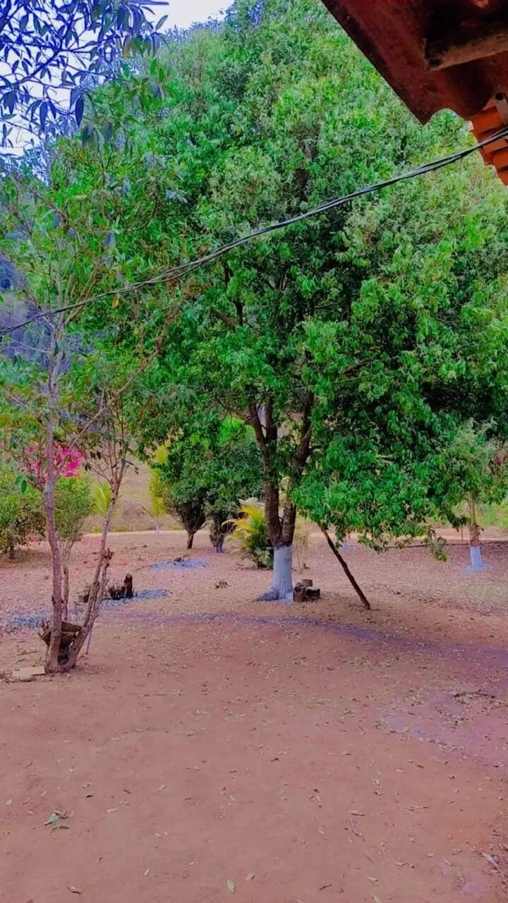 Fazenda São Vicente Urucânia MG - Foto 4