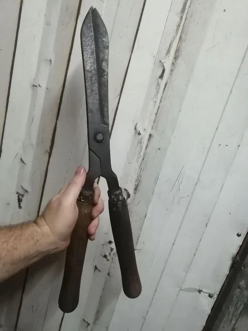 Tesoura de poda corneta solingen antiga - Foto 4