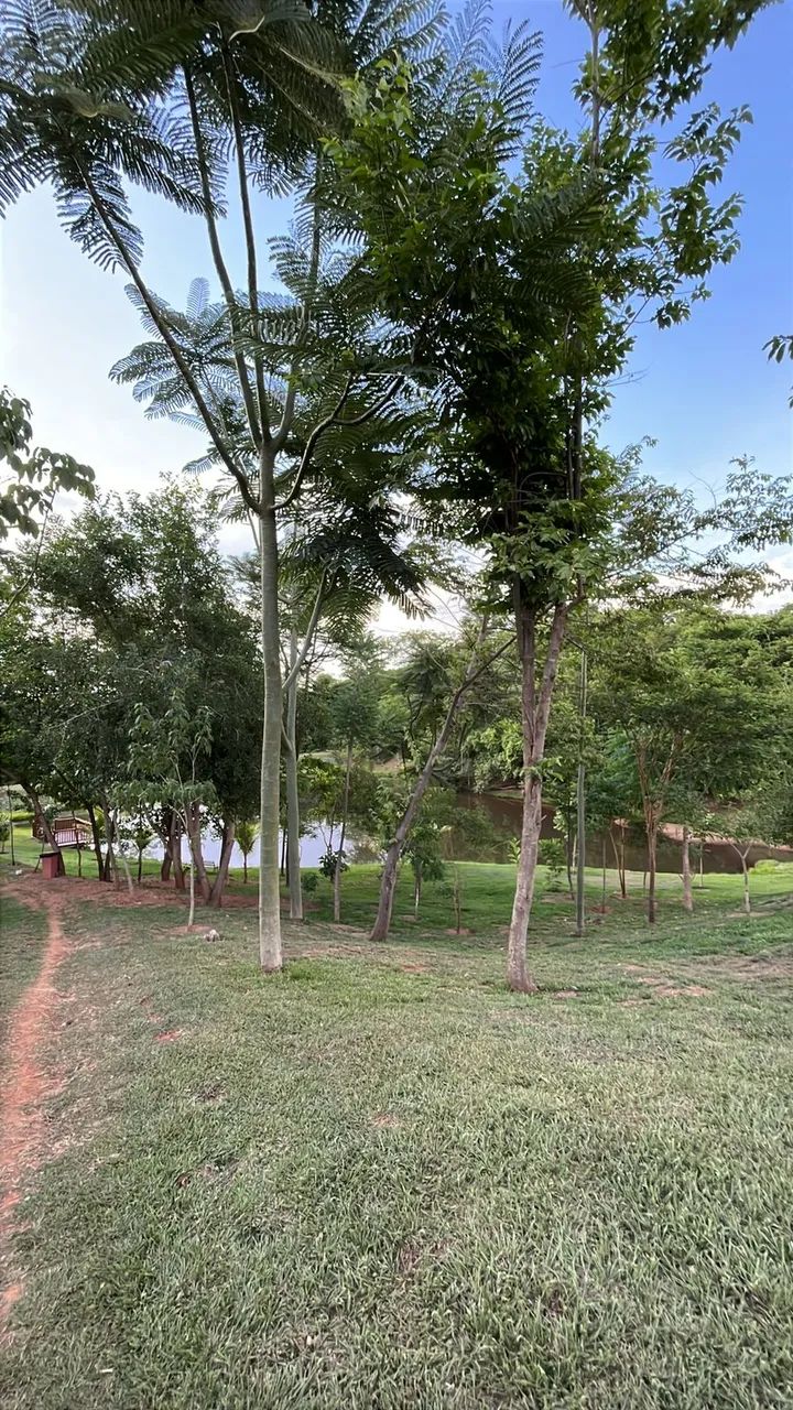 Lote Jardins Barcelona - Foto 5