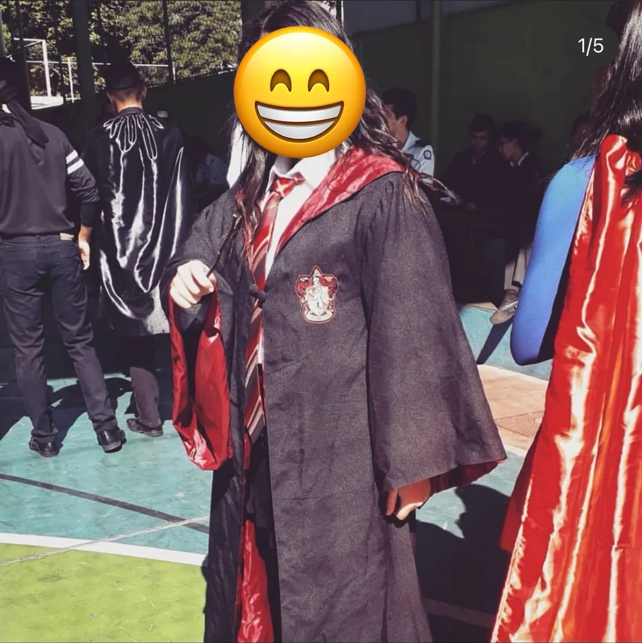 Capa Grifinória Harry Potter - 70 reais
