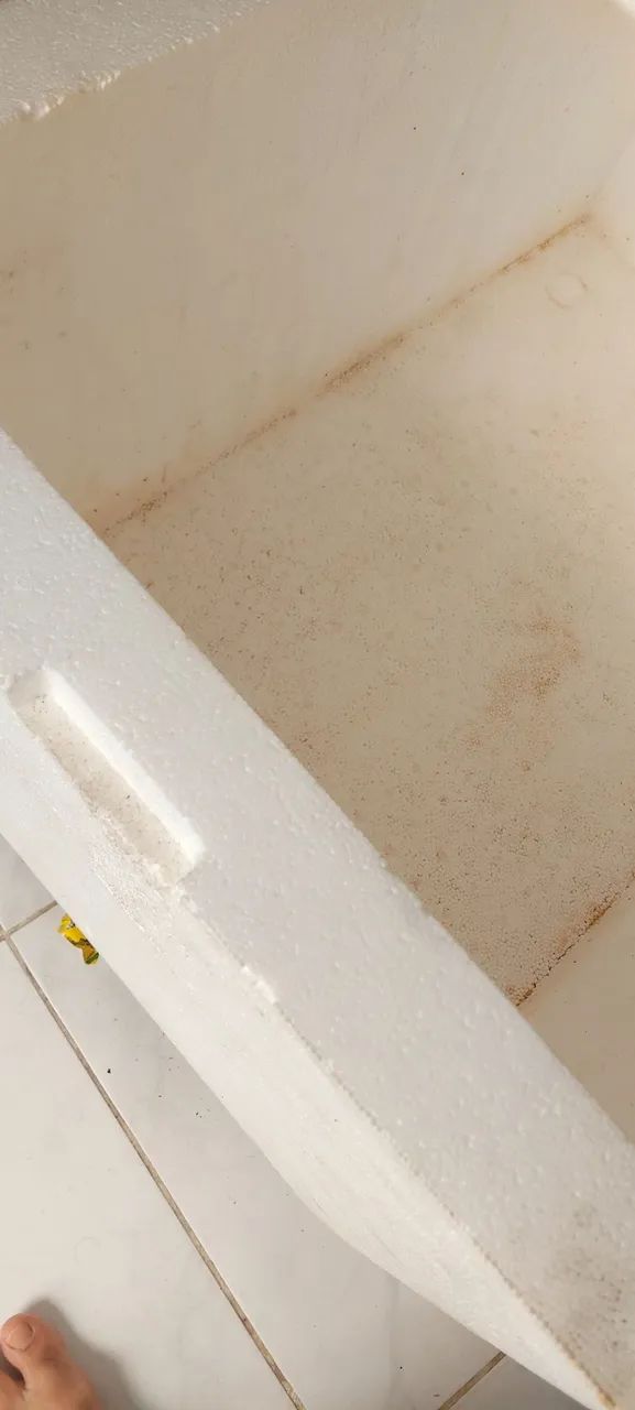 Caixa térmica de isopor - Foto 2