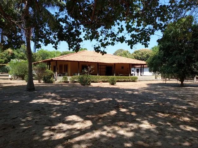 Sítio em Teresina - Povoado Árvores Verdes - Amc Imobiliária