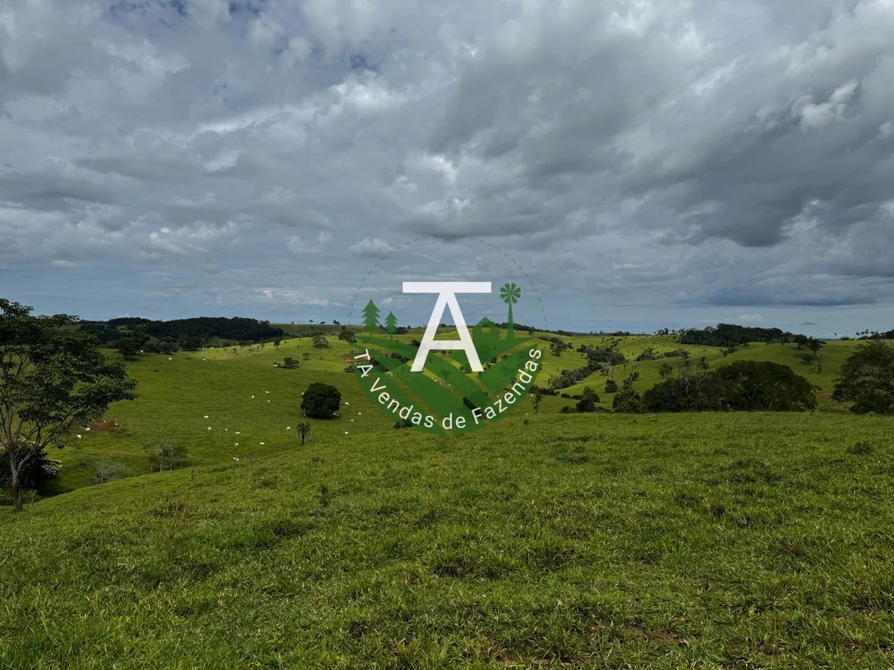 Fazenda de 192 alq em Ipameri-GO