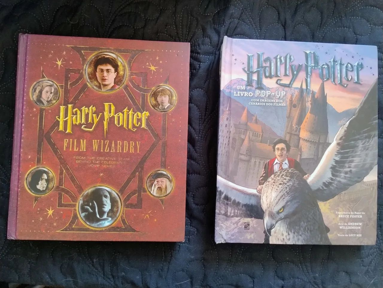 Livros Harry Potter - Film Wizardry e Pop-Up