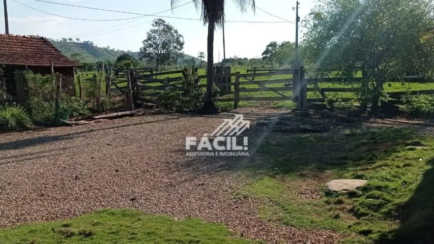 Vende-se Fazenda de 78.7 Alqueires com 2 matrículas - Opção de Comprar 1 das Matrículas