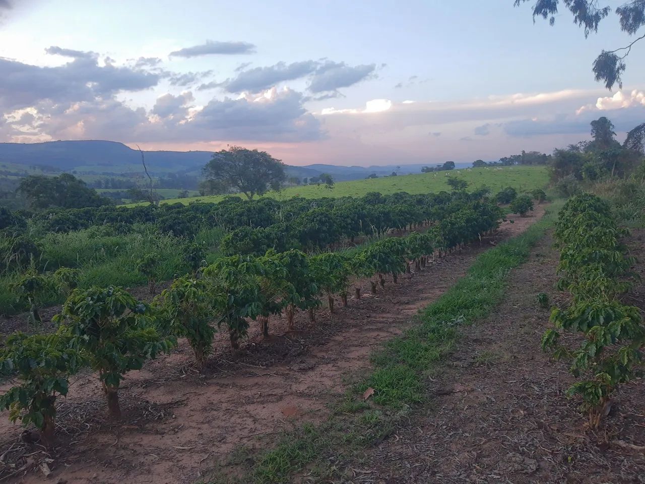 Sítio Em minas Cássia! 