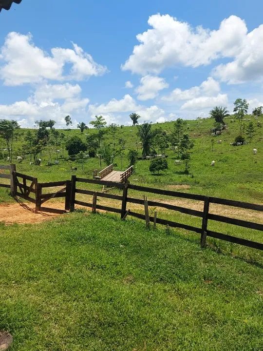 Fazenda de 4192 hectares no Acre - Foto 3