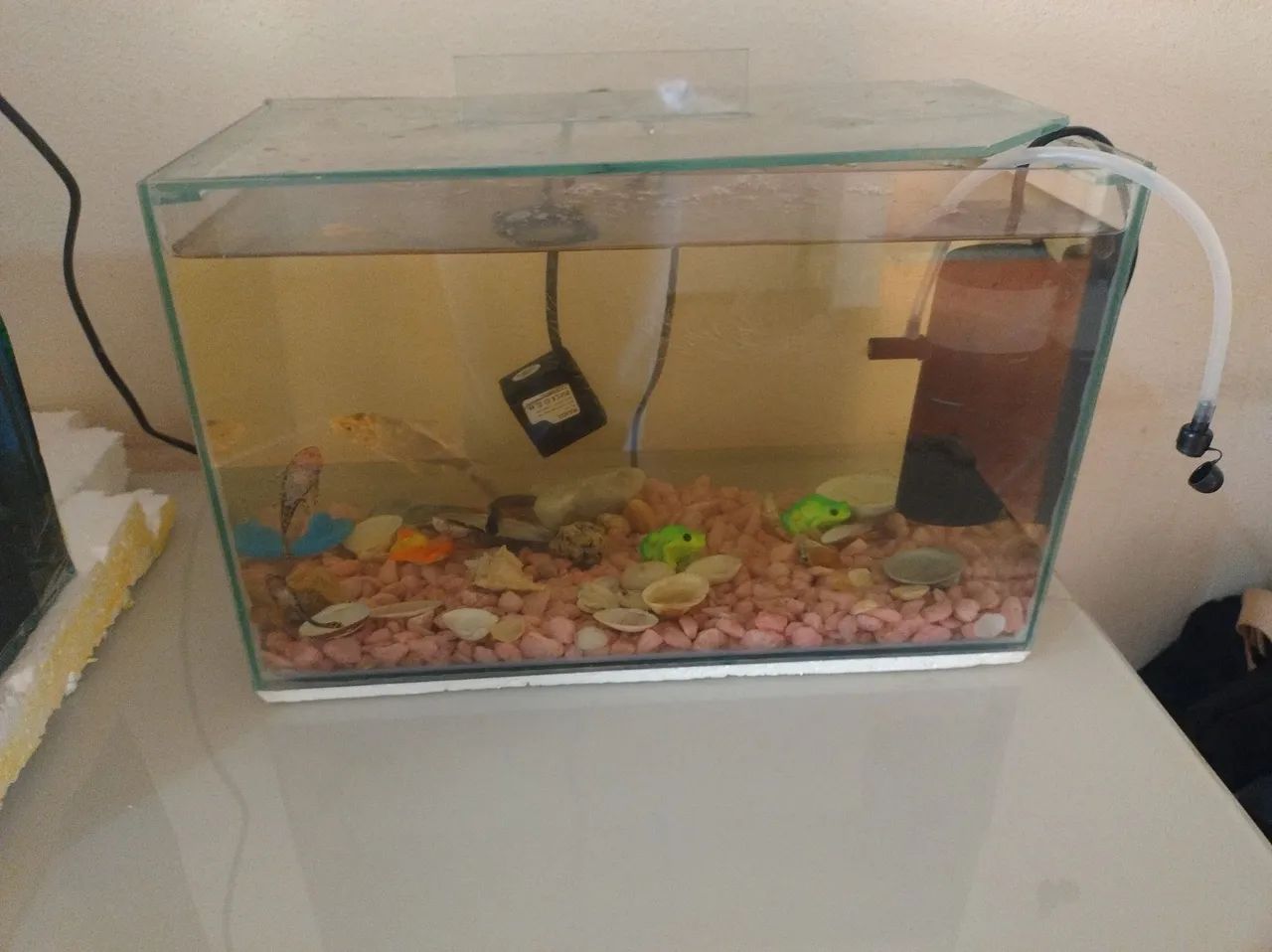 Aquário a venda 