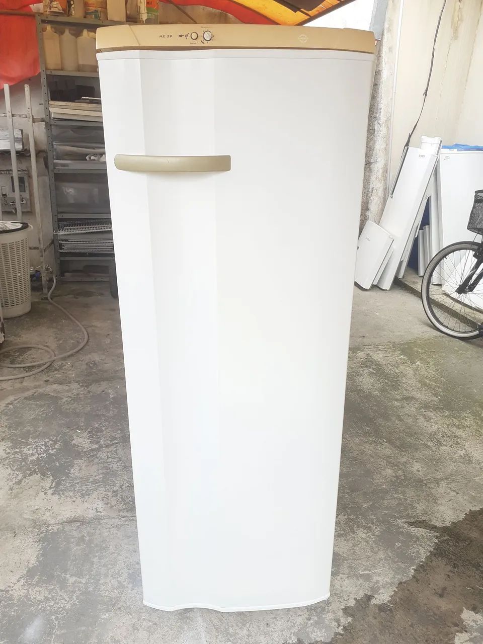 Geladeira Electrolux RE 29 262 L 