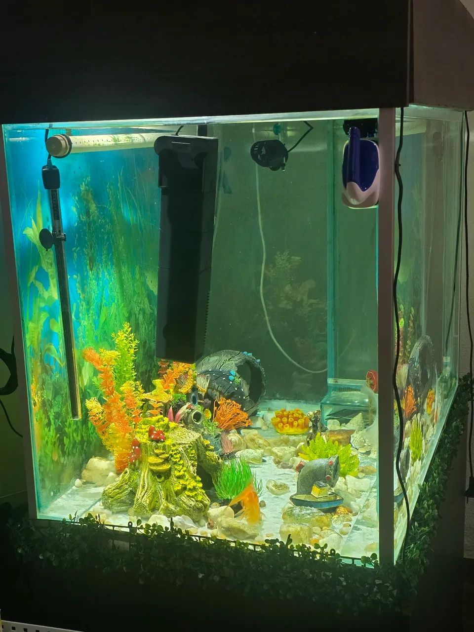 Aquário 800 litros com sump - Foto 2