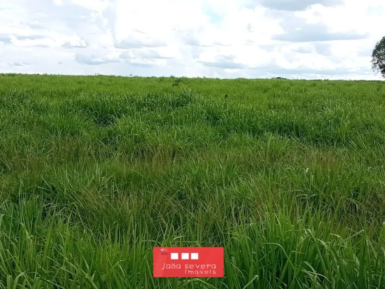 Fazenda para Venda em Campinápolis - Foto 2