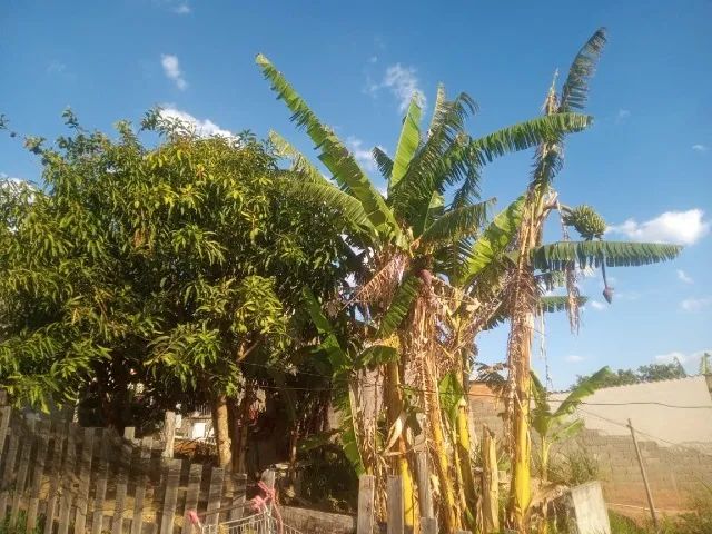 Foto - Guararema - 