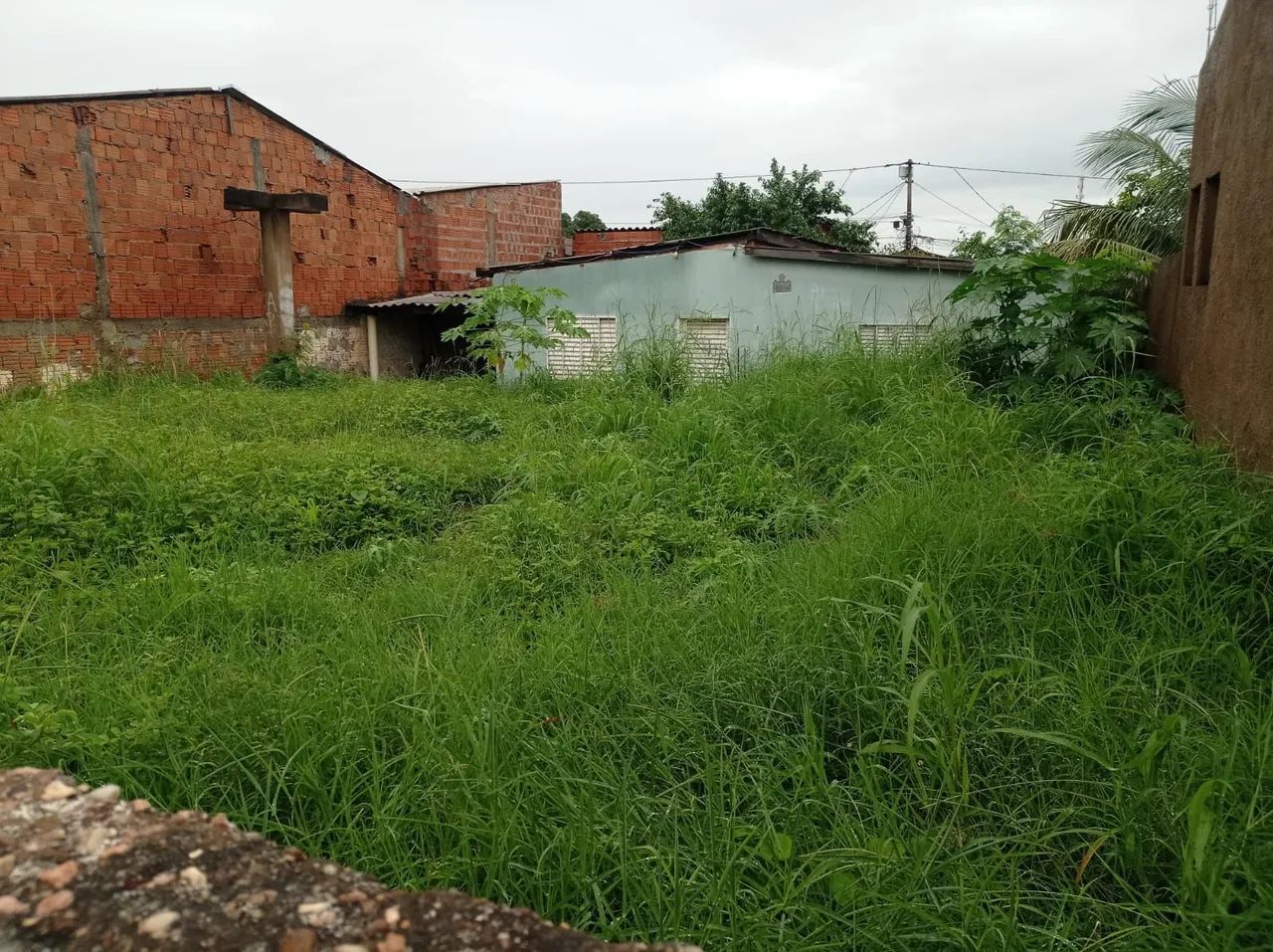 Limpeza de Terrenos, Poda de Grama e Roçagem. - Foto 2
