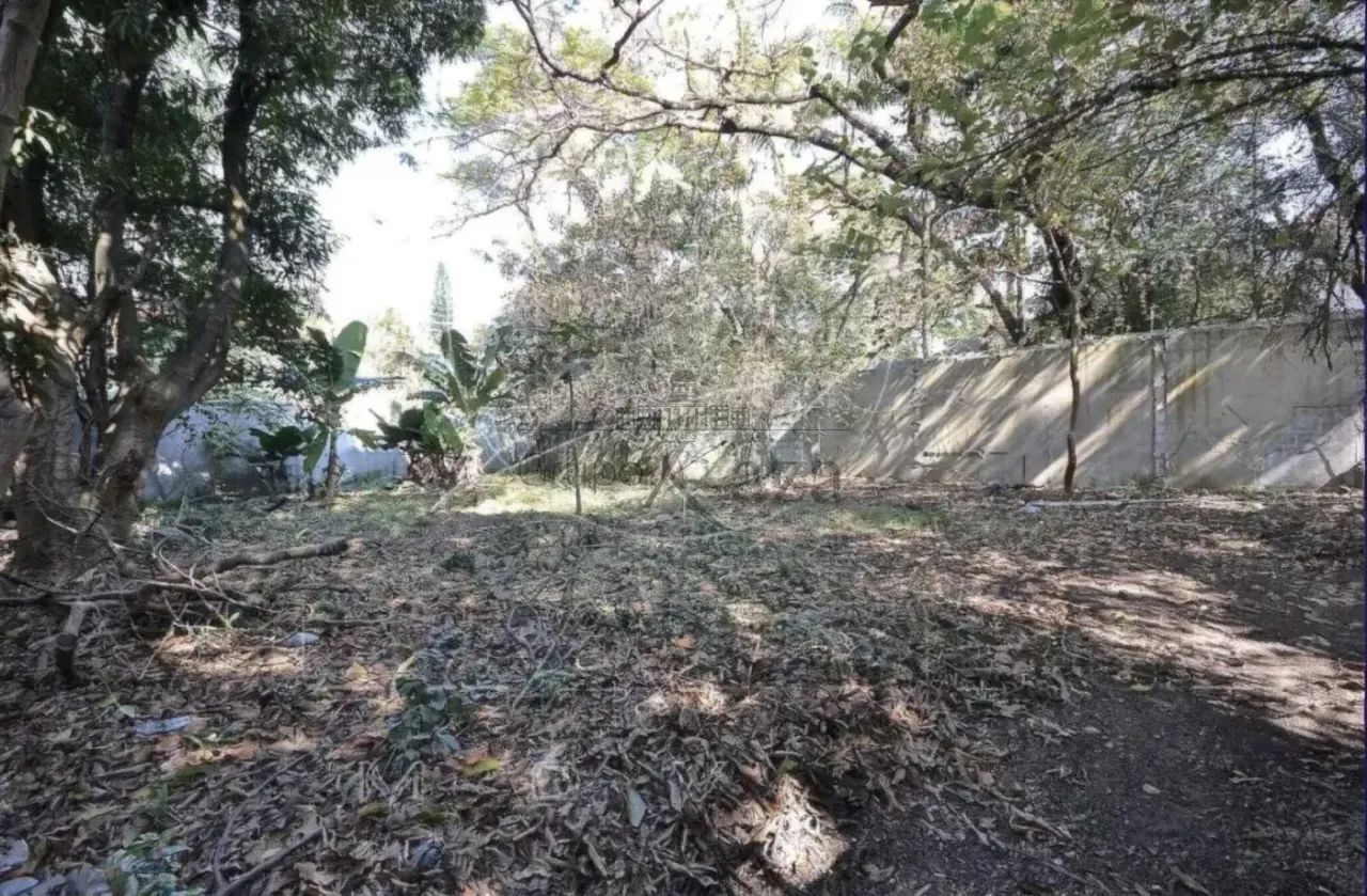 Terreno - Alto de Pinheiros - 480m². - Foto 3