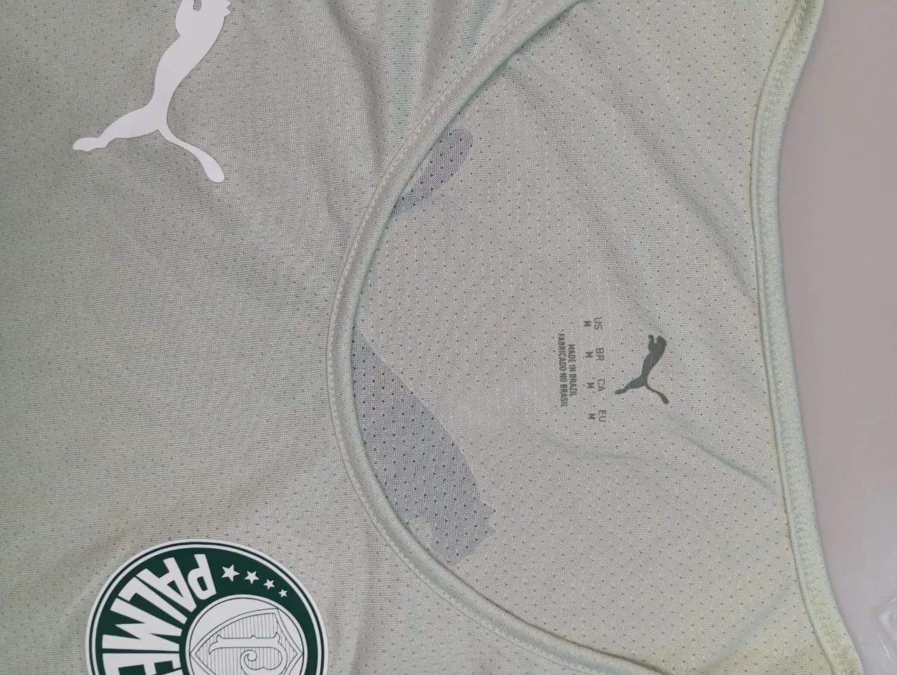 Regata Palmeiras 
