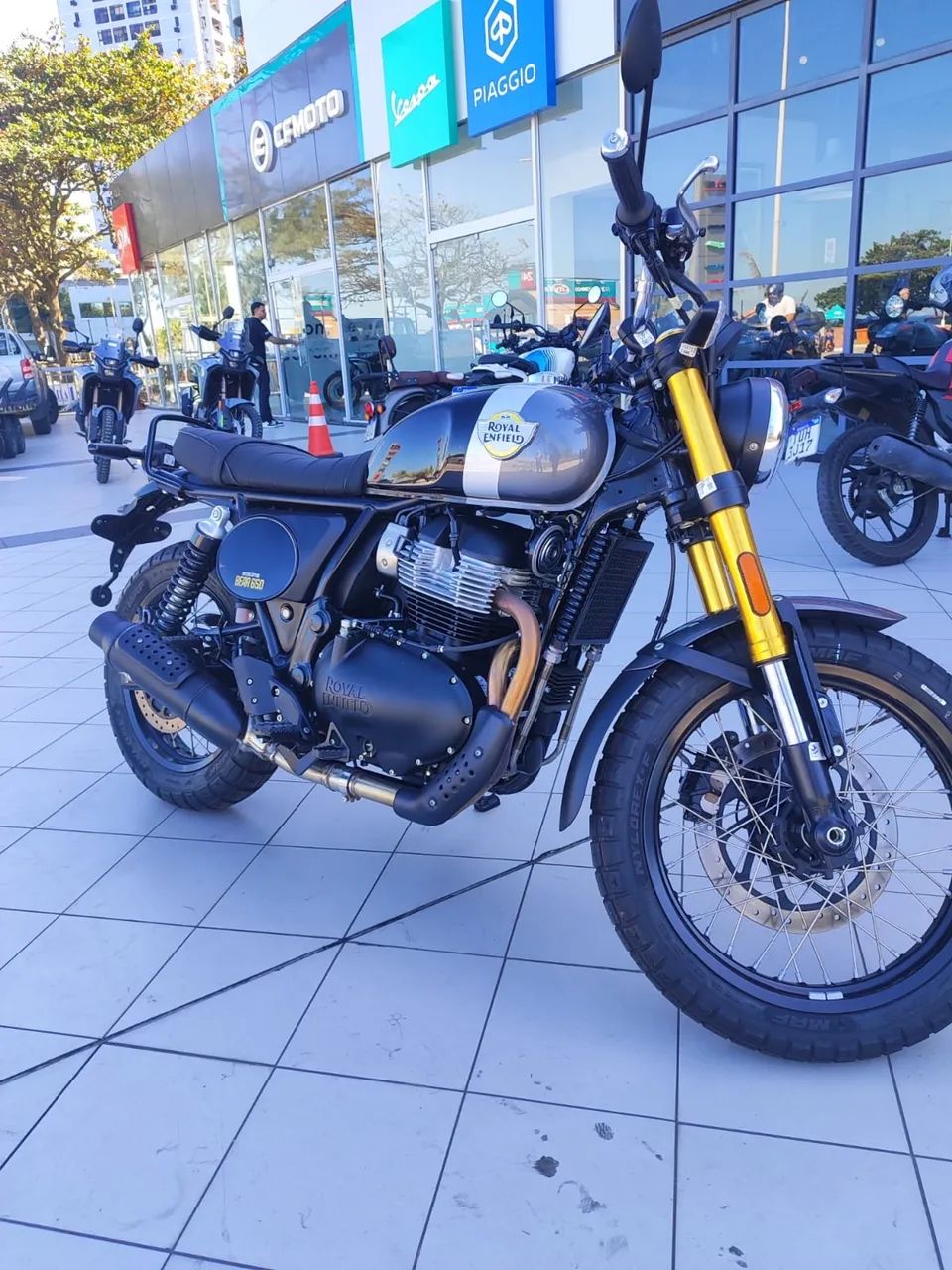BEAR 650cc/ DAIANA  - Foto 2
