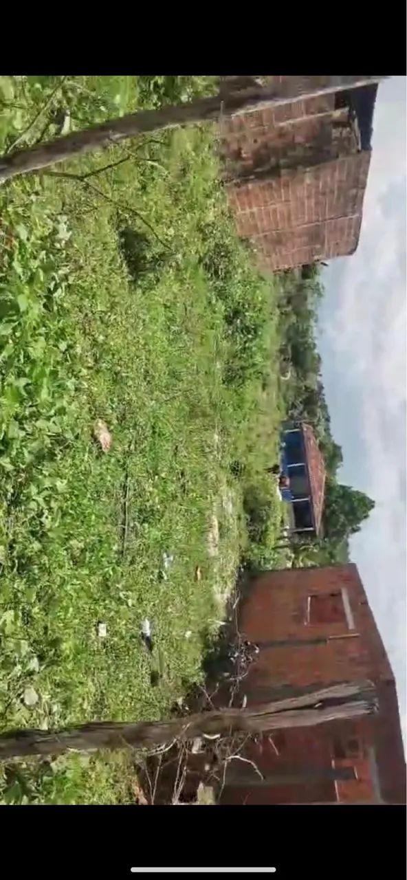 Terreno no caminho pra pipa  - Foto 4