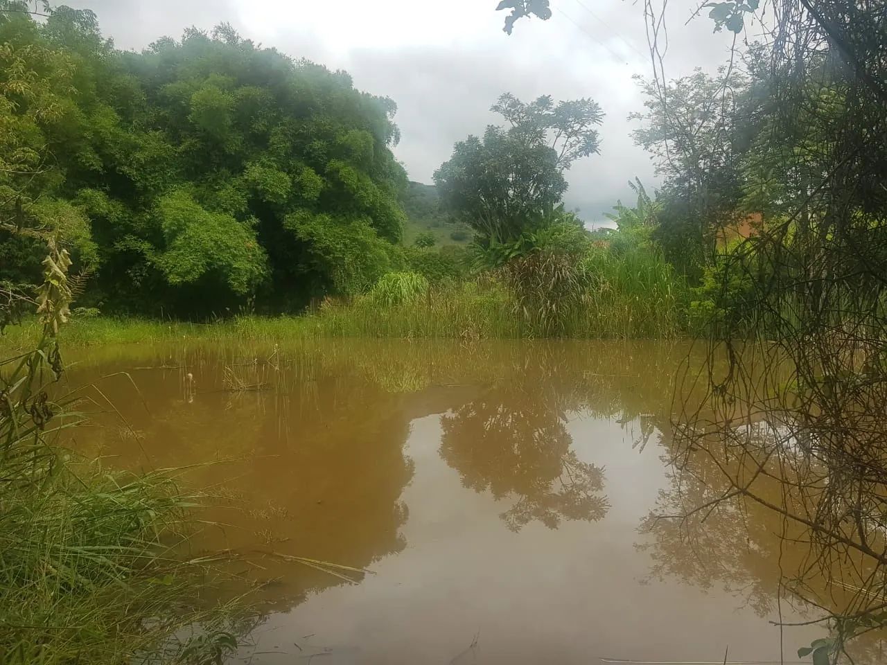 ÓTIMO TERRENO DE 8 A 20 HECTARES - Foto 3