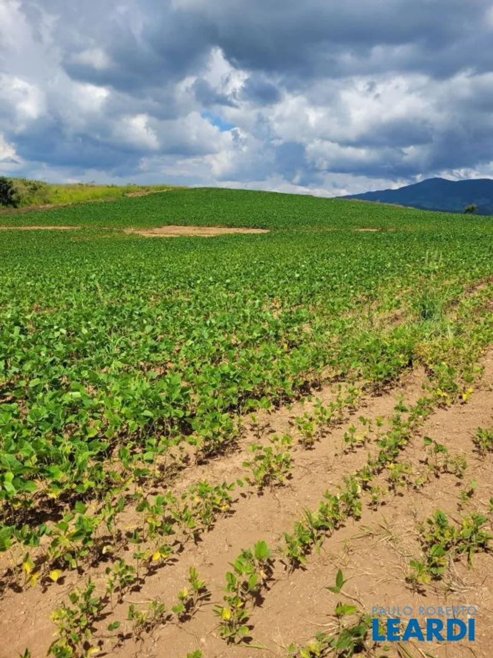 FAZENDA - CENTRO - MG - Foto 2