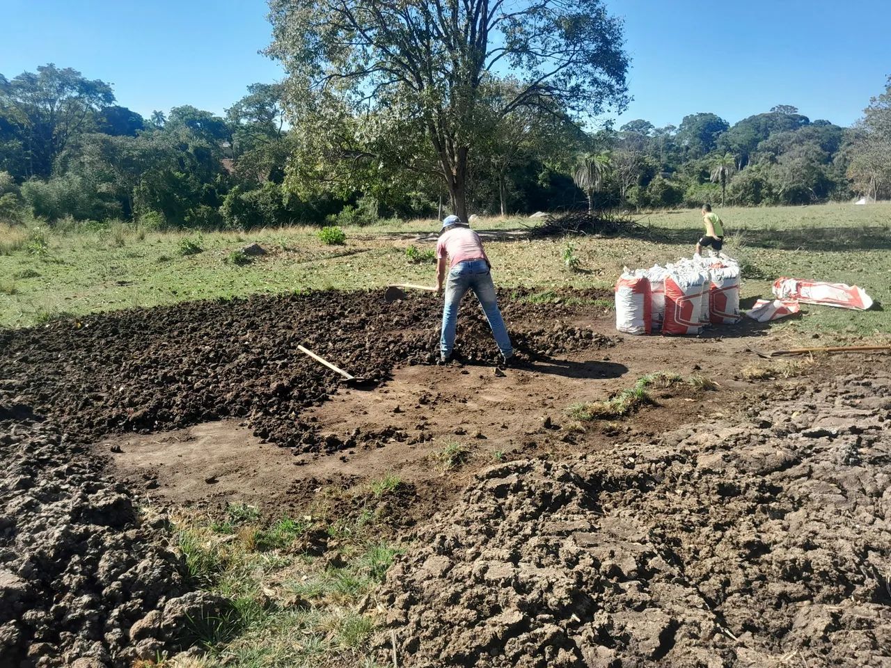 Esterco puro e curtido 