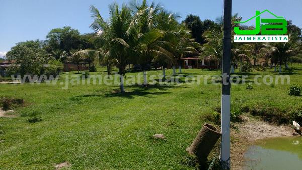 Sítio com 90.000m² em Vale das Pedrinhas - Guapi - RJ - Foto 4