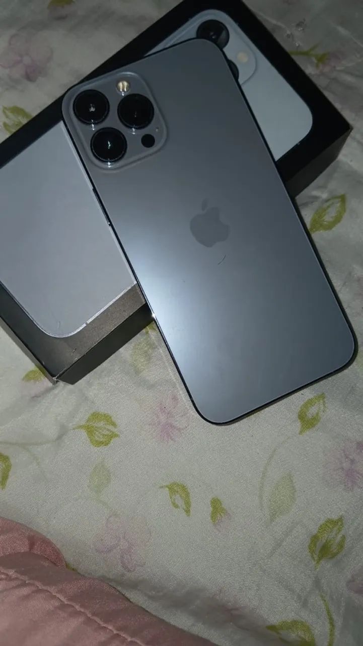 iPhone 13 Pro Max 256 gb