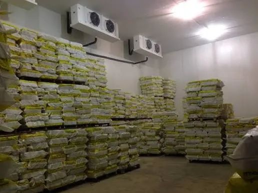 Frigorifico com capacidade de 500 toneladas de estocagem  