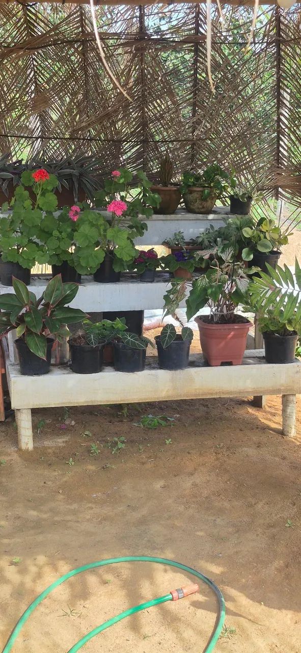 Vendo sítio em Laje das pedras,em Guarapari. 