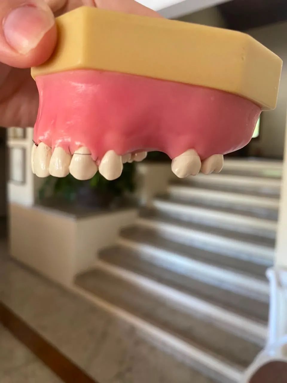 Manequim de Periodontia
