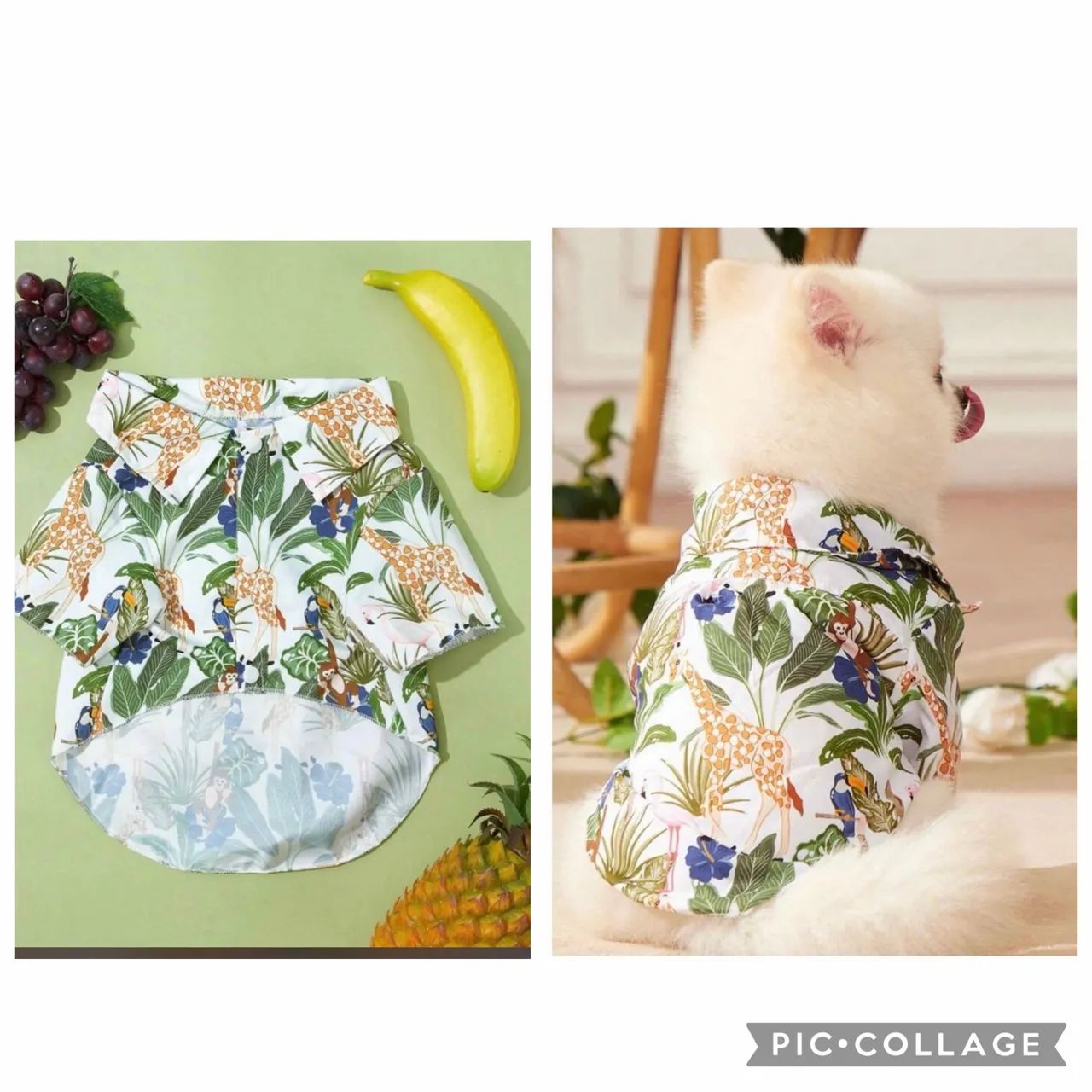 4 roupas para pet meia mordedor cachorro gato  - Foto 2