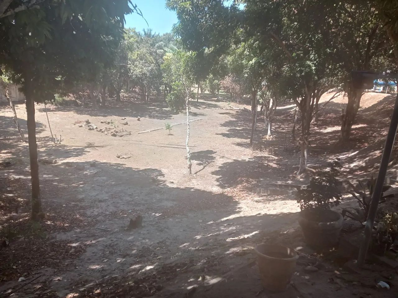 Trabalho com jardinagem - Foto 4