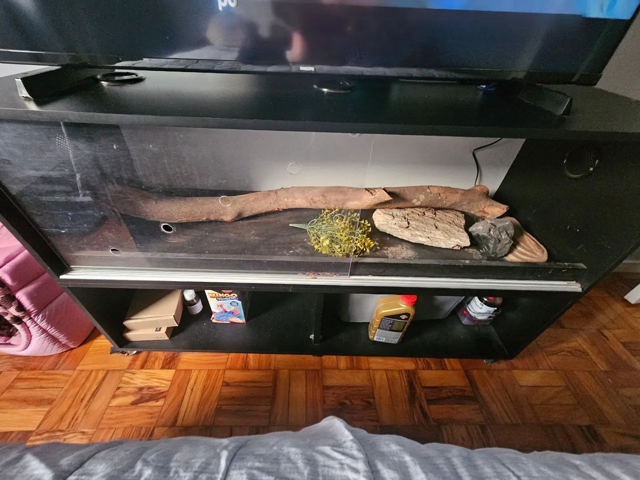 Terrario grande65203909019650120