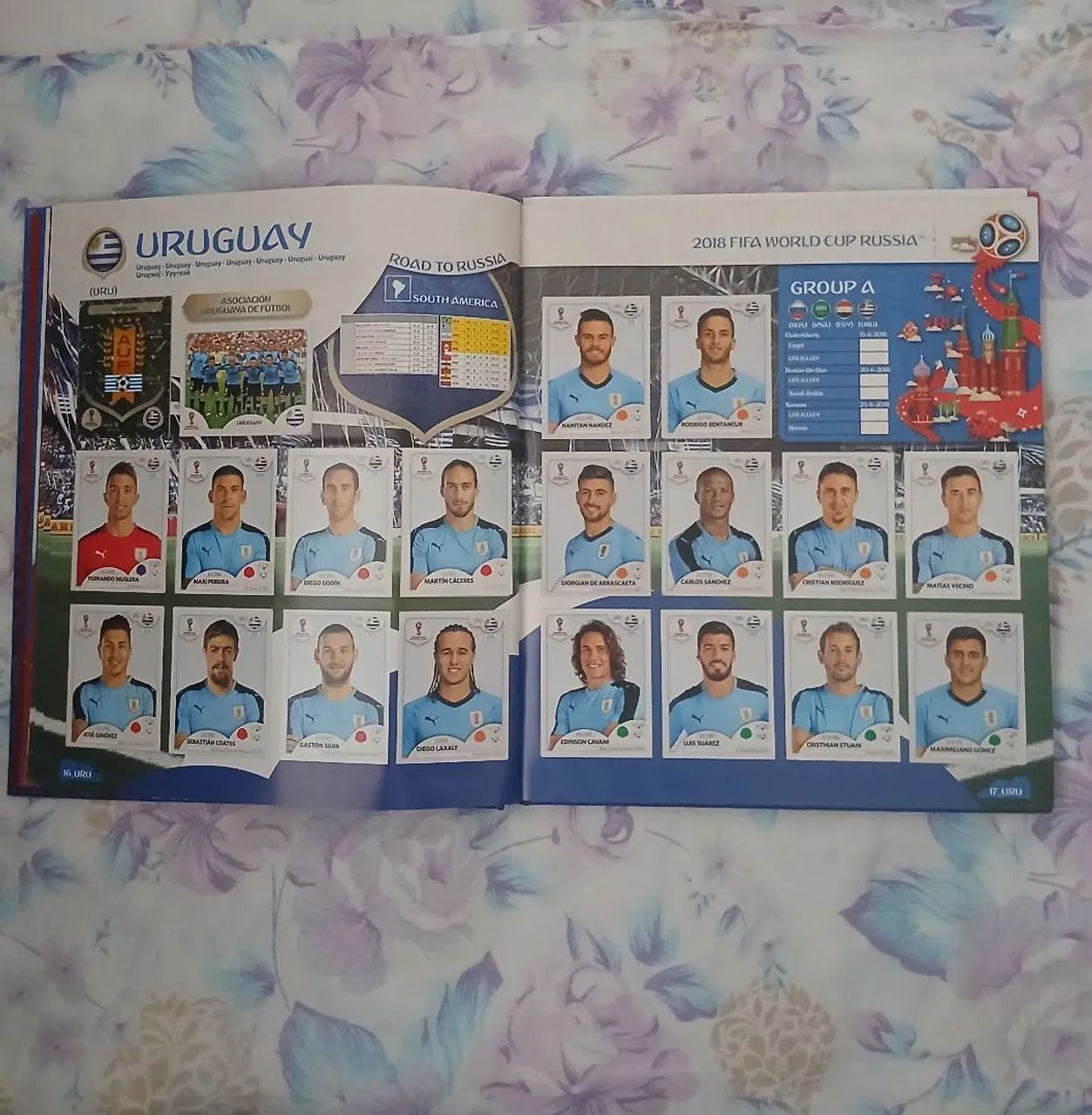 Album Copa do mundo Rússia 2018 - Livros e revistas - Montanhas