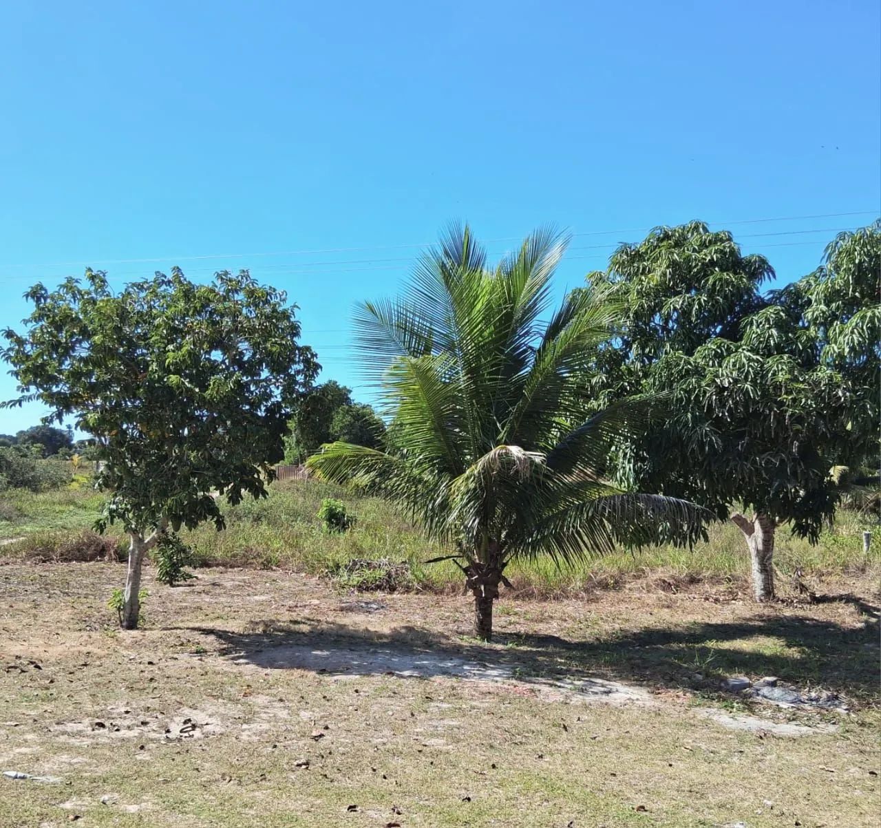 sitio  - Foto 4