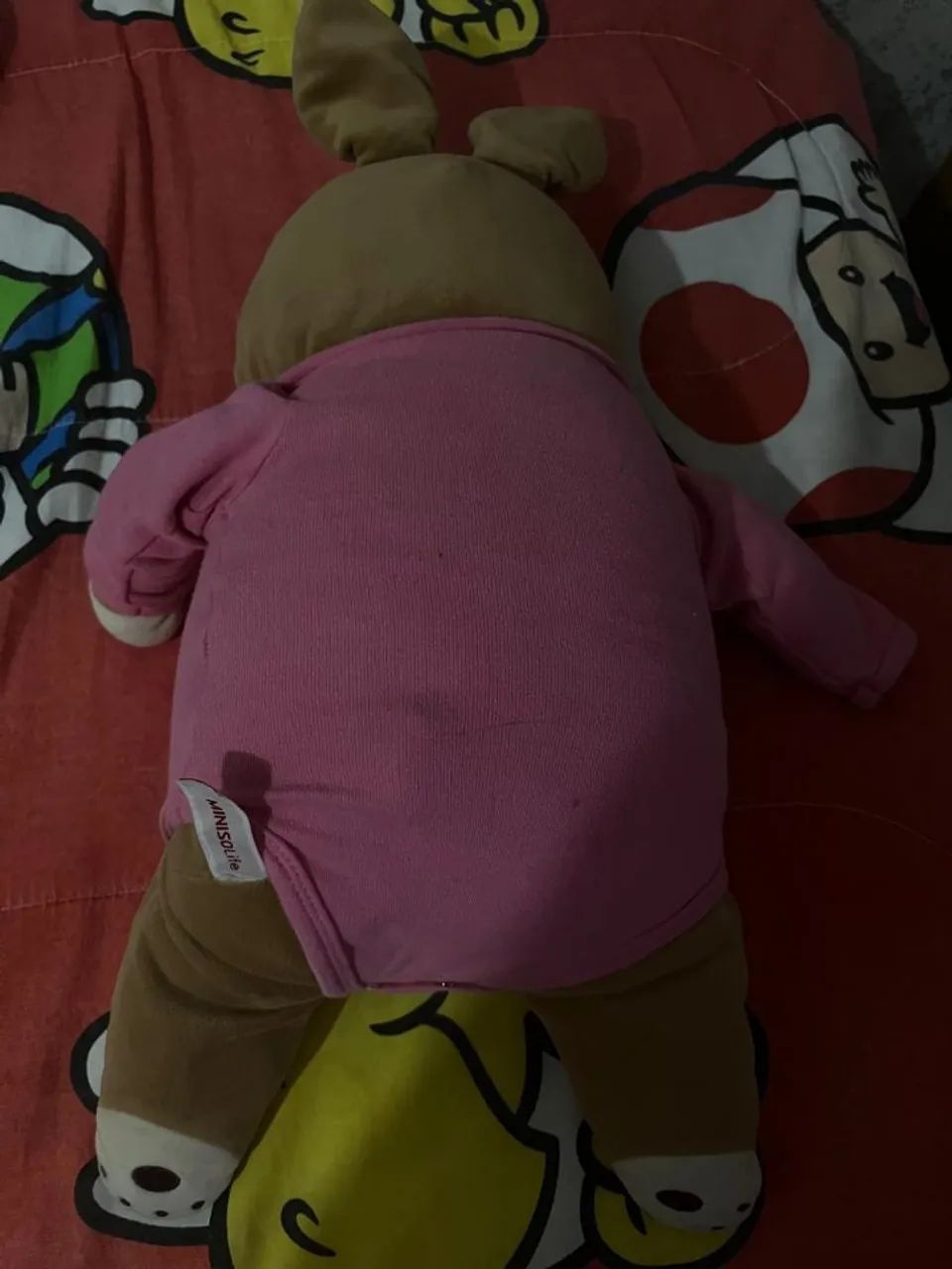 Coelho miniso - Foto 3