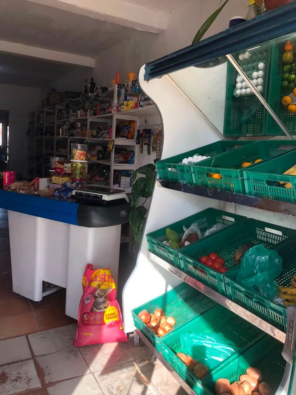Casa Comercial no Fragata e Prisma 2019 - Foto 4