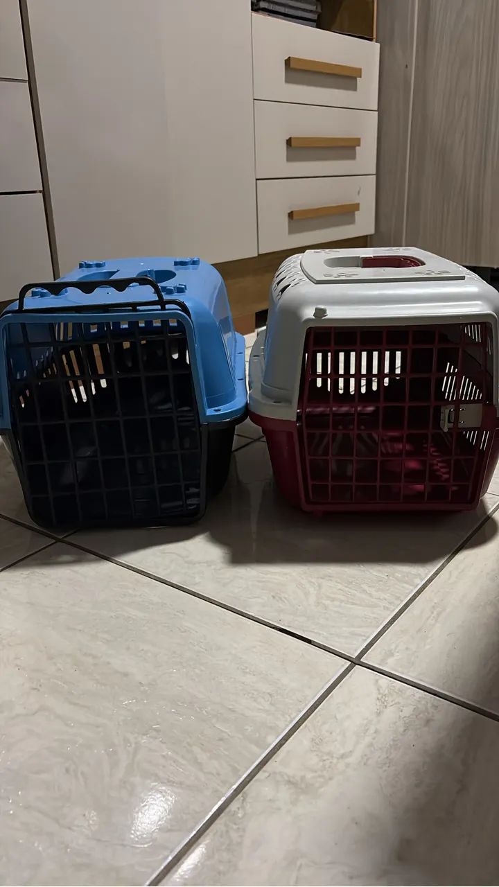Caixa transporte 