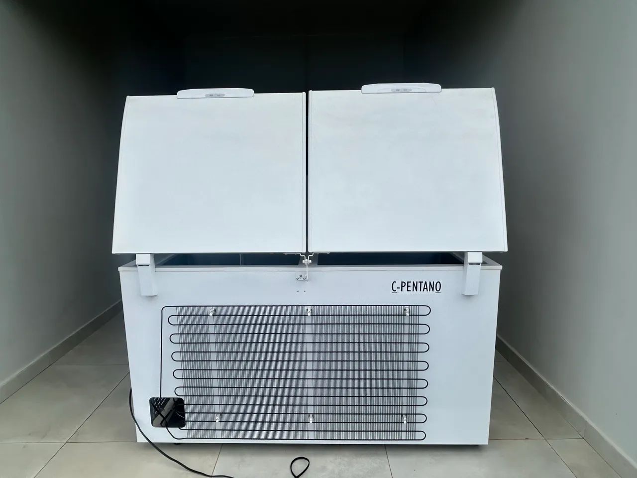 Distribuidora de açaí . R$ 12.000,00 - Foto 2