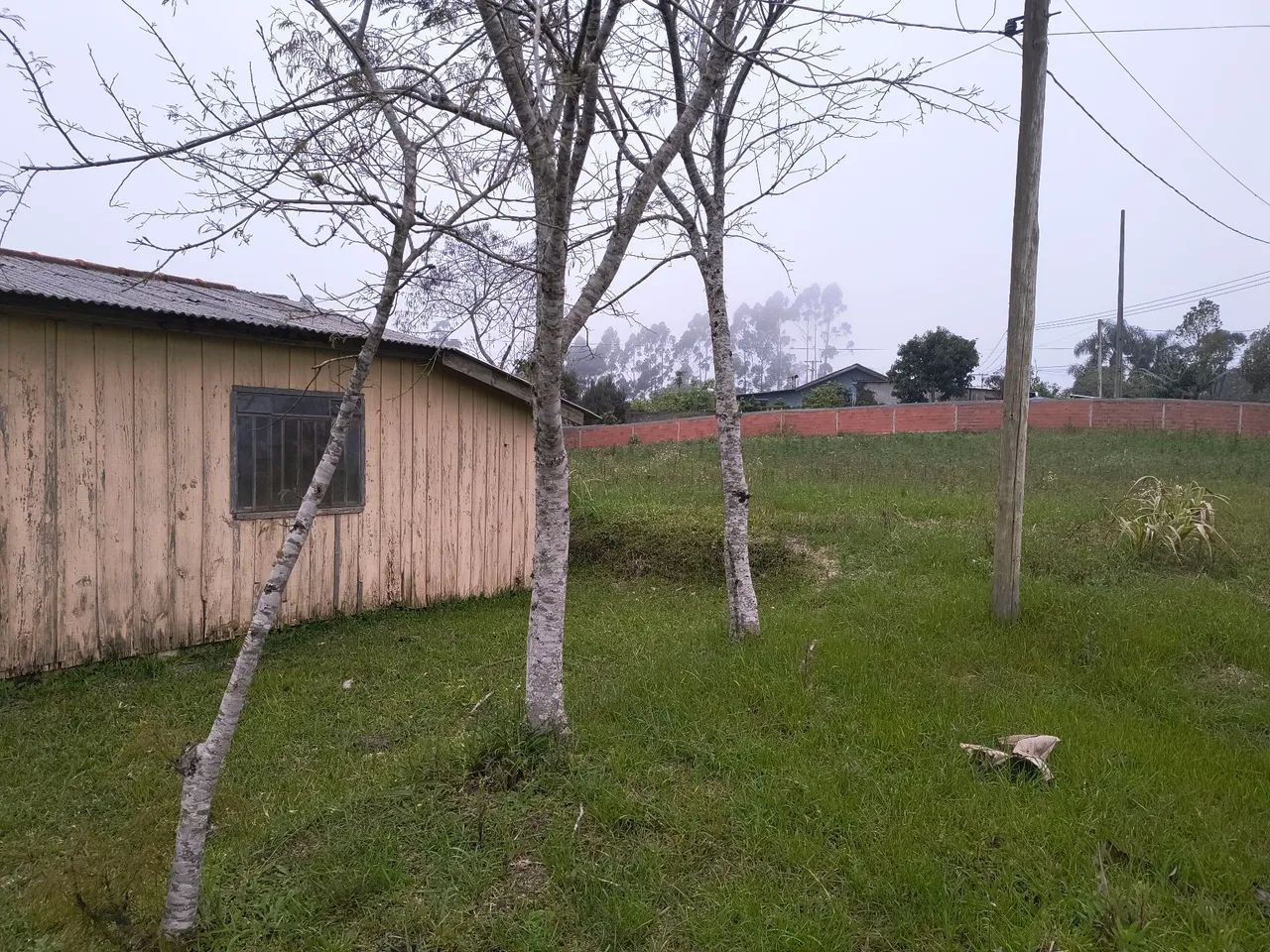 Terreno rural com casa - Foto 3